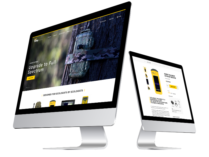 Platform Migration to Enhance Global Online Presence. Image 2