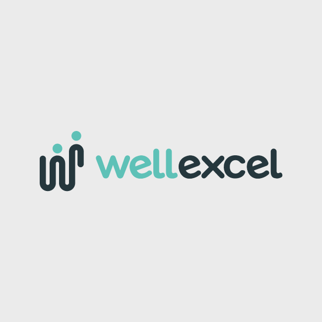 Well Excel